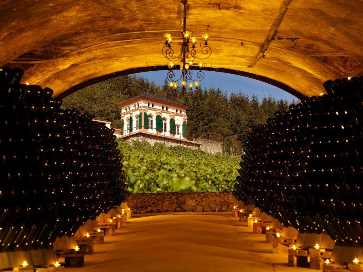 Weinromantikhotel Richtershof Mulheim an der Mosel Bagian luar foto